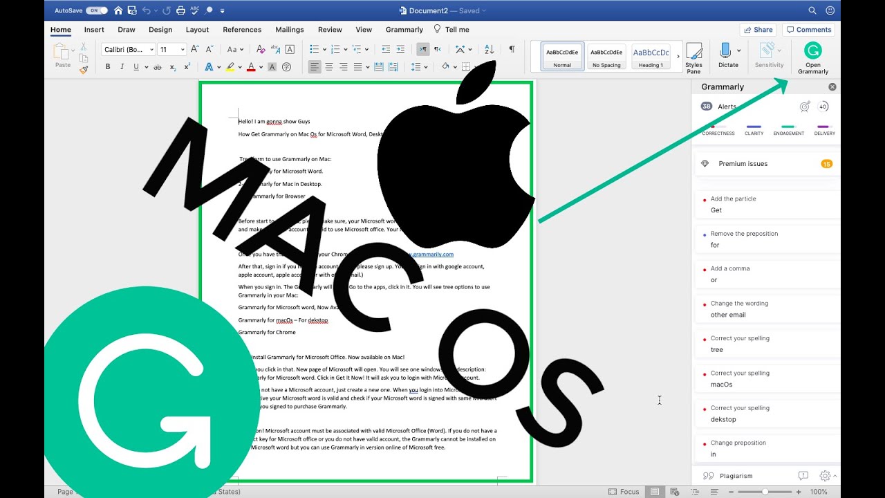 grammarly for mac ms word